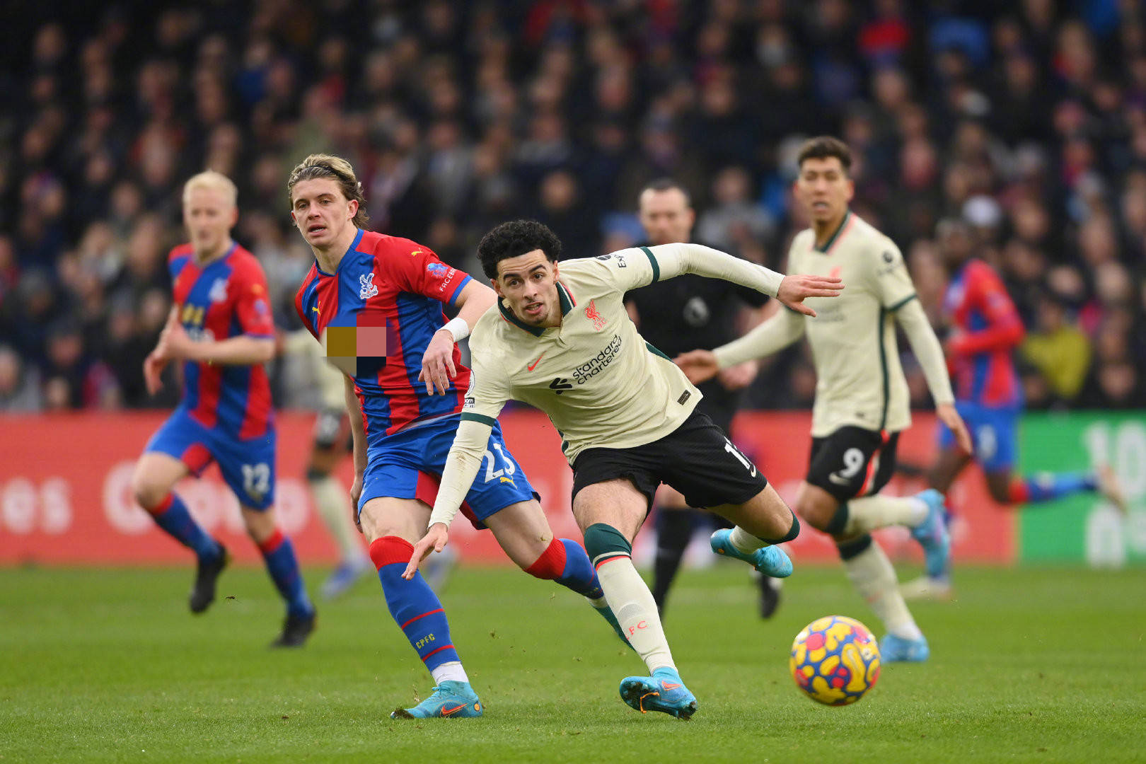 轻女性加入 轻女性加入